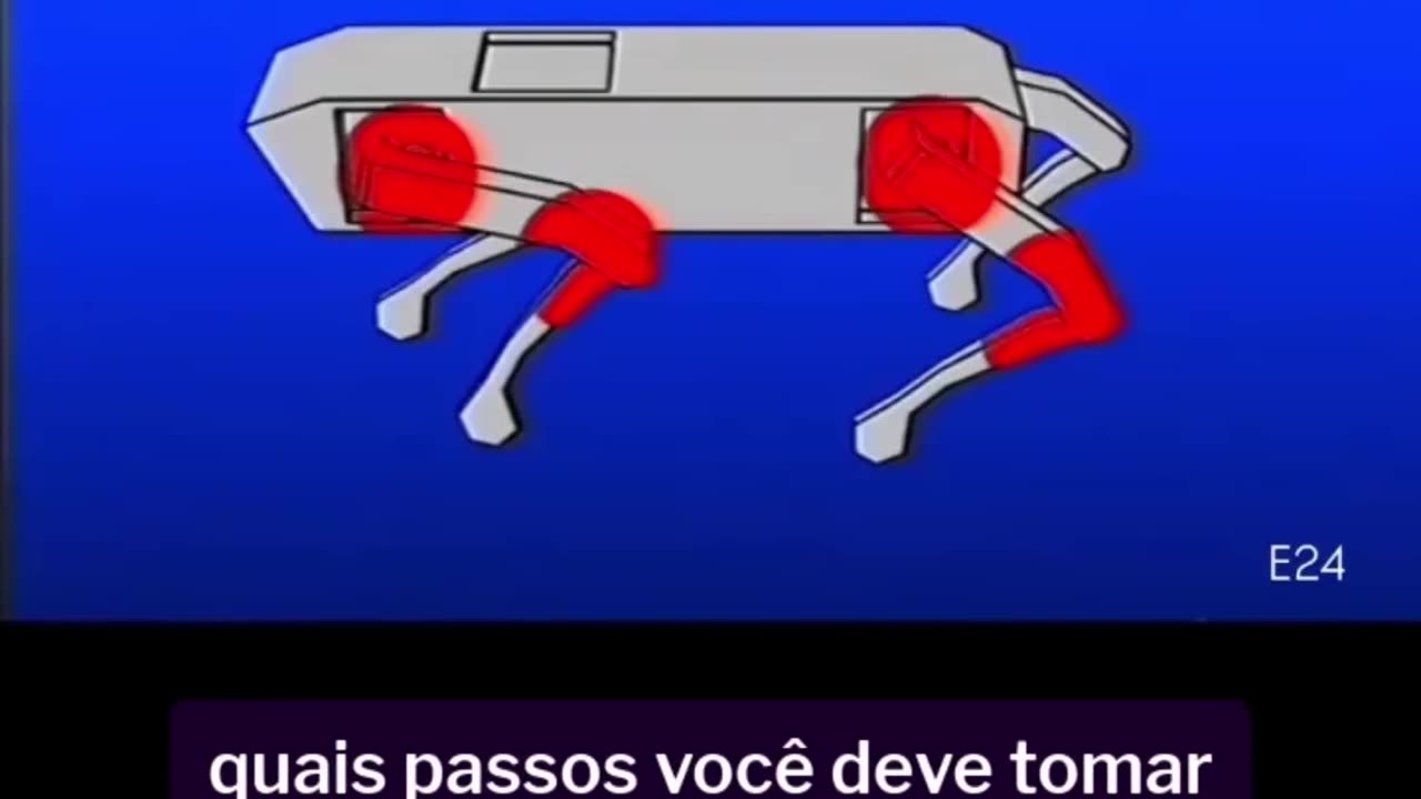Vídeo educacional para o domingo.
