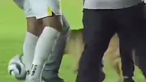 👍🤣🤣🤣