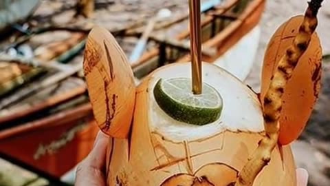 Even Coconuts Need a Vacation