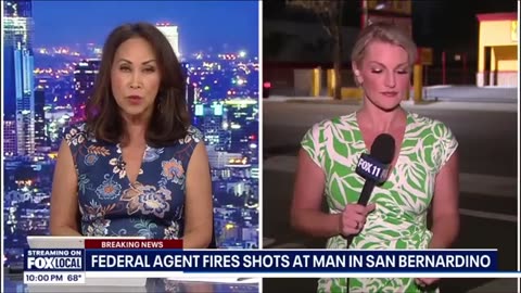 ICE agent shoots at car, smashes window