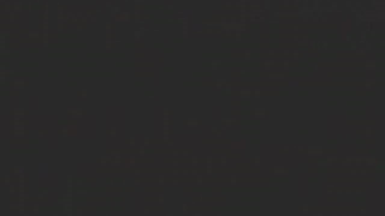 Stupid Bowl II - 2005