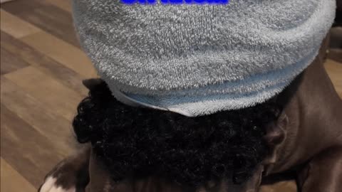 Hair wash day with Blue