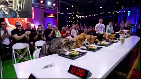 Outtake #1,203 Of The Cats Attempt The Vegan Sushi Eating Contest Fake Funny Parody Video