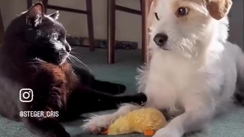 Best Frens