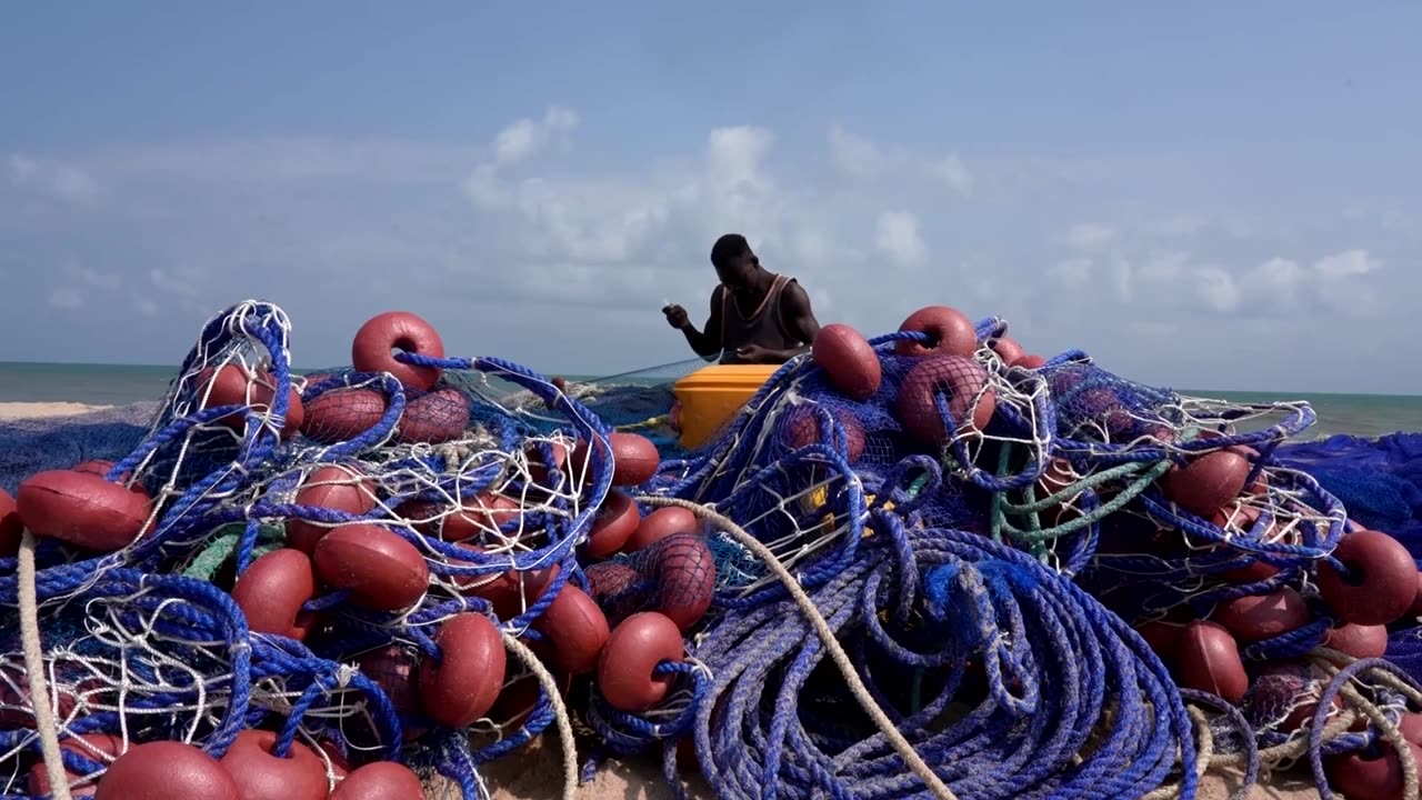 Activists fight to save Nigeria's sea turtles from pollution, poachers