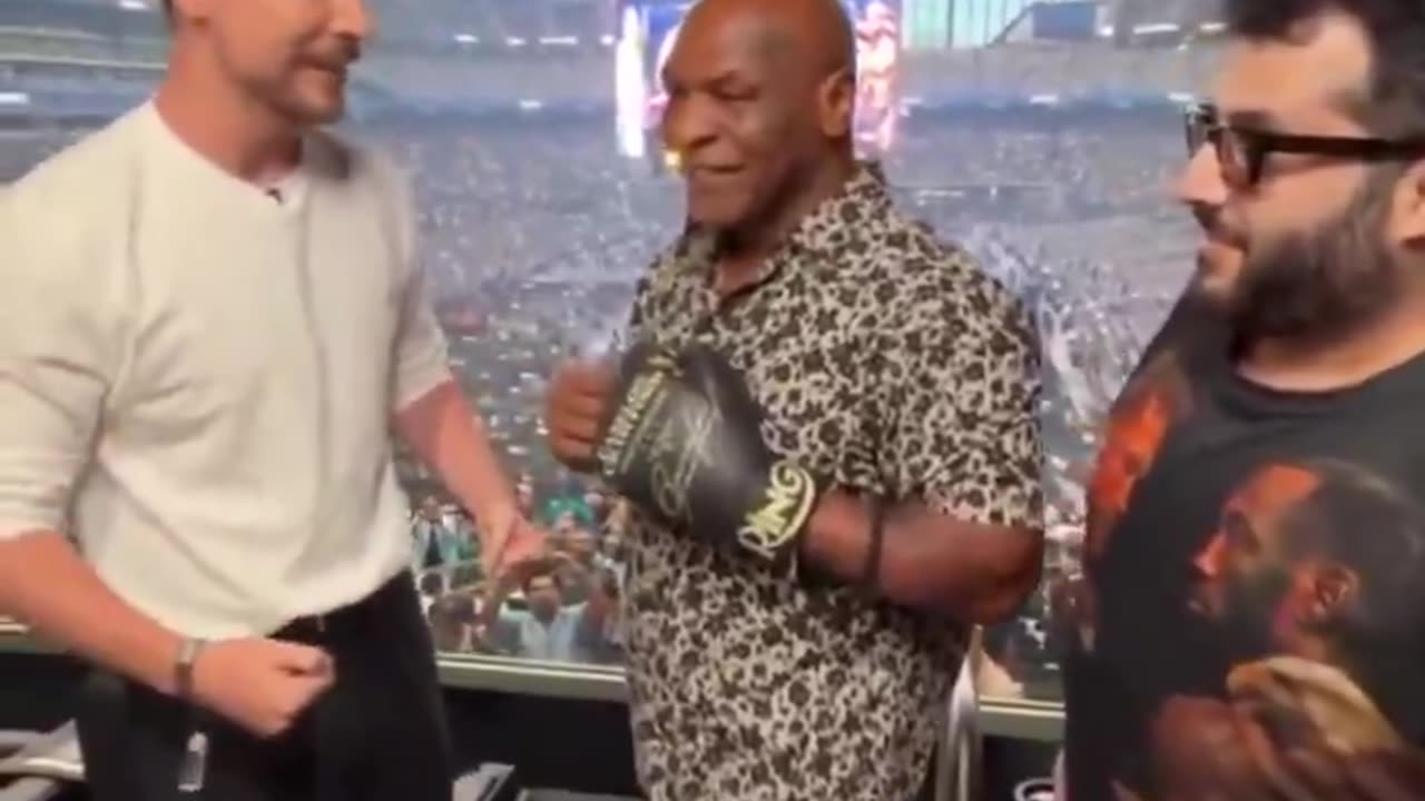 Mike Tyson punched MrBeast.