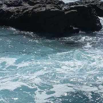 Ocean Reef Waves, Sleep Seals, Sunshine Vibes #beach #waves - San Diego SoCal #shorts NATURE