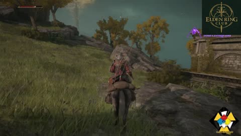 I died in the game Elden Ring