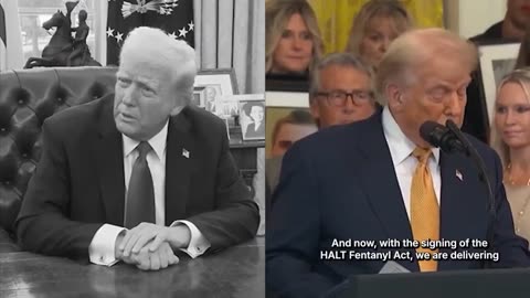 President Trump just said the quiet part out loud