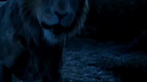 Mufasa 😍❤️ (Part - 37).....#reels #viralreels #reel #mufasa #animation #lastest #romantic #viralreel