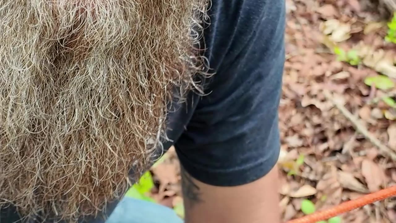 If You Can Tie Your Boots, You Can Tie This.