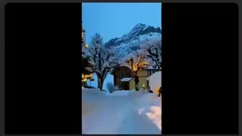 VERITAS VAULT 🎄MERRY X-MAS 🎄 PEACE ON EARTH 🎄 CRYPTO PROFITS 3X@DAY 🎄 TOP TEAM ROB BUSER