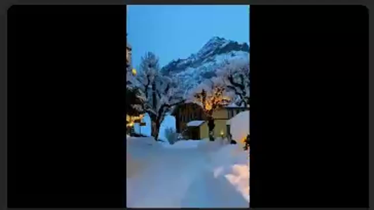 VERITAS VAULT 🎄MERRY X-MAS 🎄 PEACE ON EARTH 🎄 CRYPTO PROFITS 3X@DAY 🎄 TOP TEAM ROB BUSER