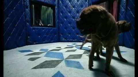 Control Machete feat. Ely Guerra - De Perros Amores
