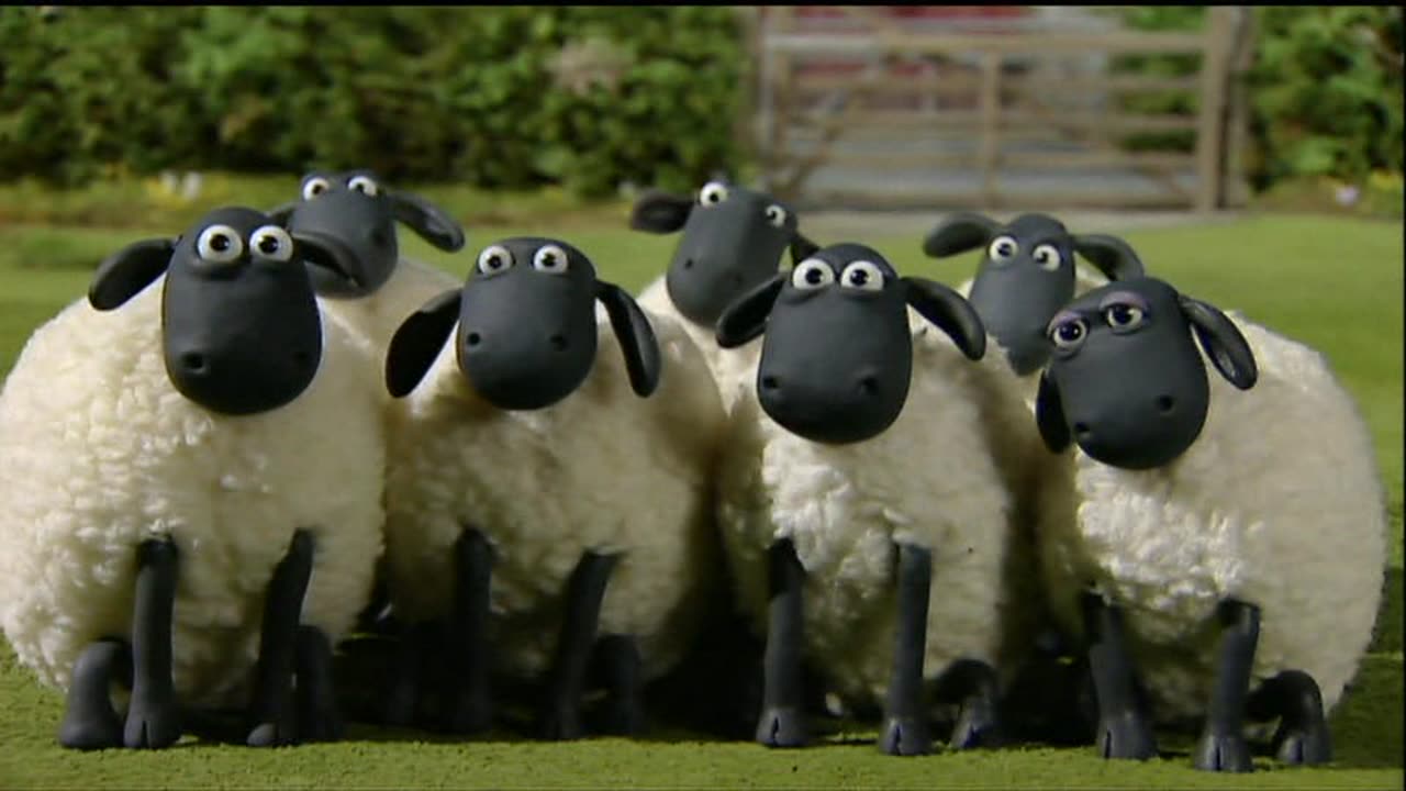 Shaun the Sheep | EP.11