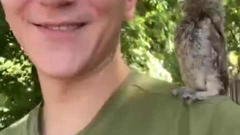 Baby Owl Befriends Ukrainian Soldier