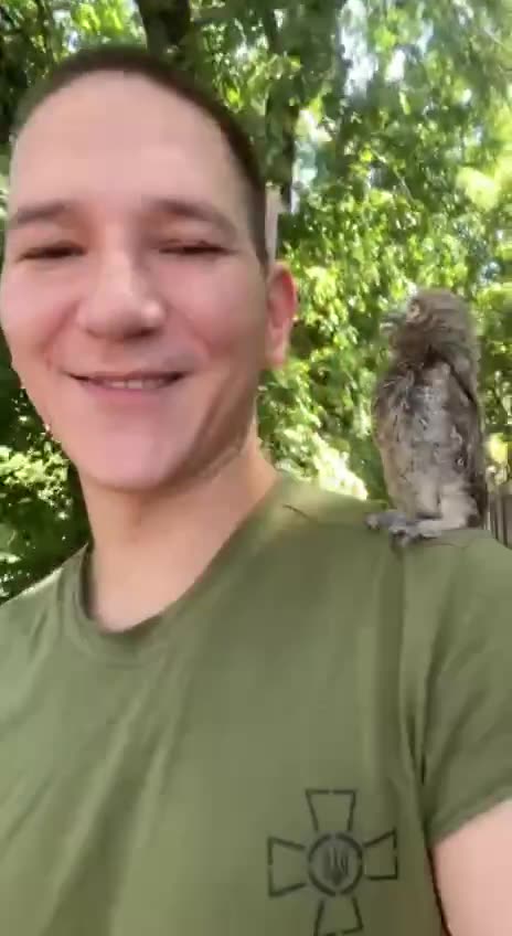 Baby Owl Befriends Ukrainian Soldier