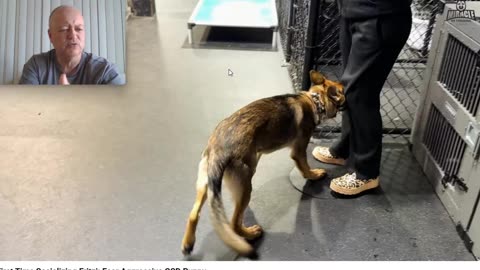 Miracle K9 - Going "Bonkers" with Balanced Dog Training - Pt 6