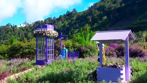 Breathtaking Beautiful Scenery: A Journey Through Nature's Art