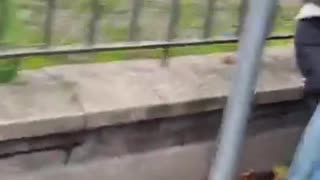 Dublin Mary Lou McDonalds team assaulted an Irishman in the street and he stood up for himself.