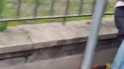 Dublin Mary Lou McDonalds team assaulted an Irishman in the street and he stood up for himself.