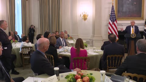 President Trump Delivers Remarks at the Governors Working Session