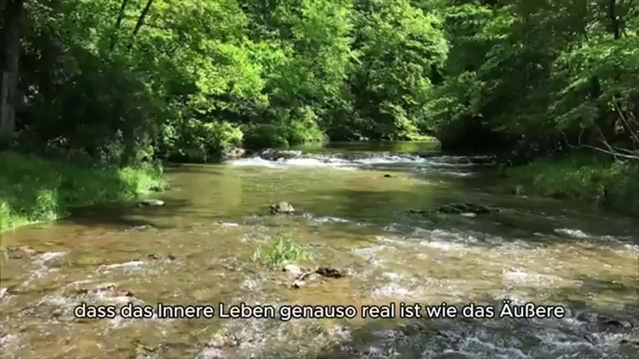 Carl Jung - Einsamkeit