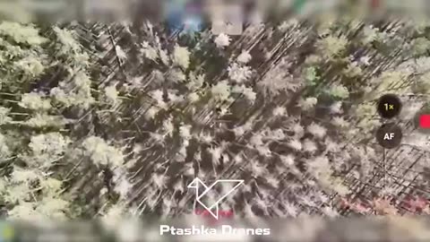🚁⚡ Ukraine Russia War | Ukrainian FPV Pilots Neutralize Russian UAVs with Net Launchers | RCF