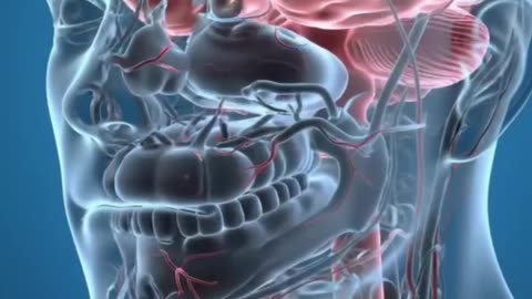 What happens when you eat raw garlic every day?