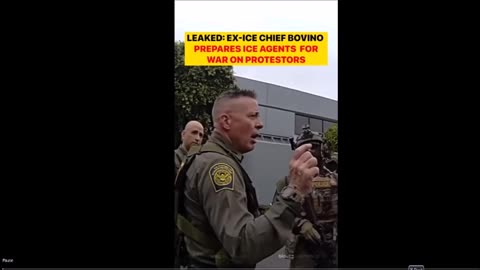 Bovino The Tough Guy