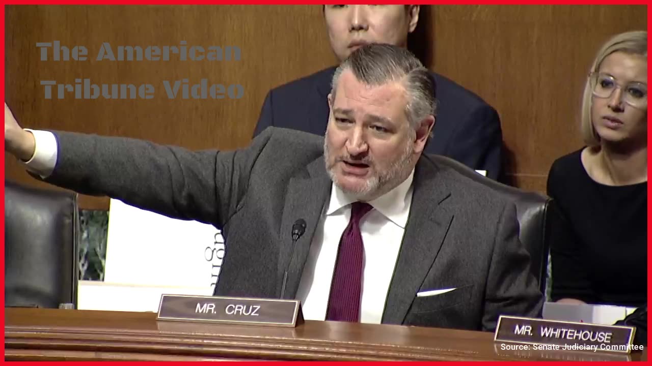 Ted Cruz Shuts Down Dem Witness to His Face after He Blames Trump for MN Fraud
