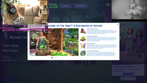 Chicken Live Stream