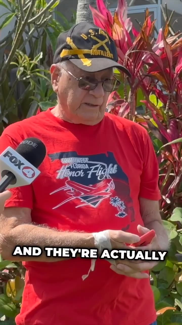 Duck terrorizing a neighborhood