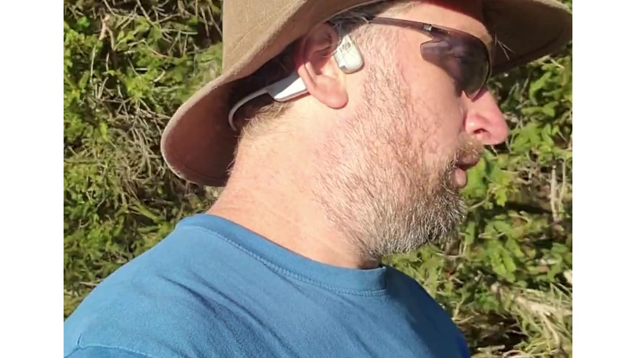 Warren Buffett’s Secret Weapon: The Cost Advantage Moat