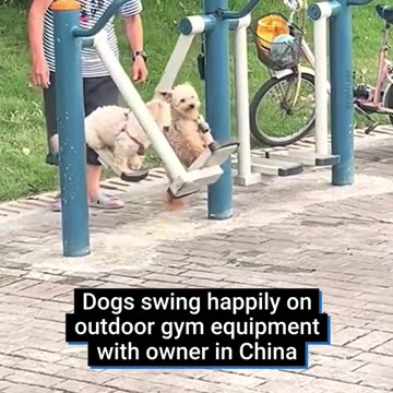 A passerby caught the moment an elderly man was exercising