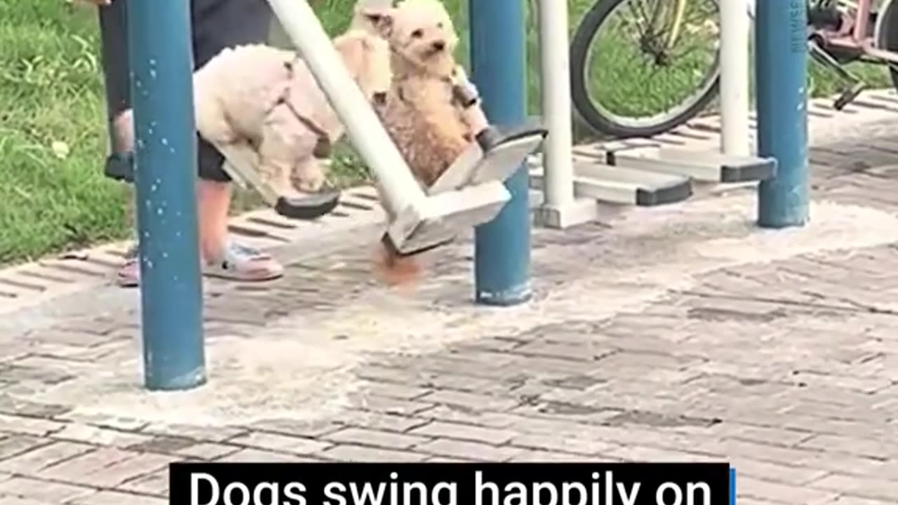 A passerby caught the moment an elderly man was exercising