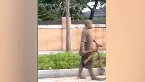 Best Funny Videos