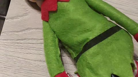 Elves Up to No Good With Mini Vacuum