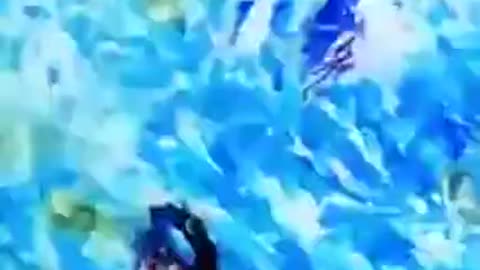 ARE YOU BETTER THAN A ZIONIST