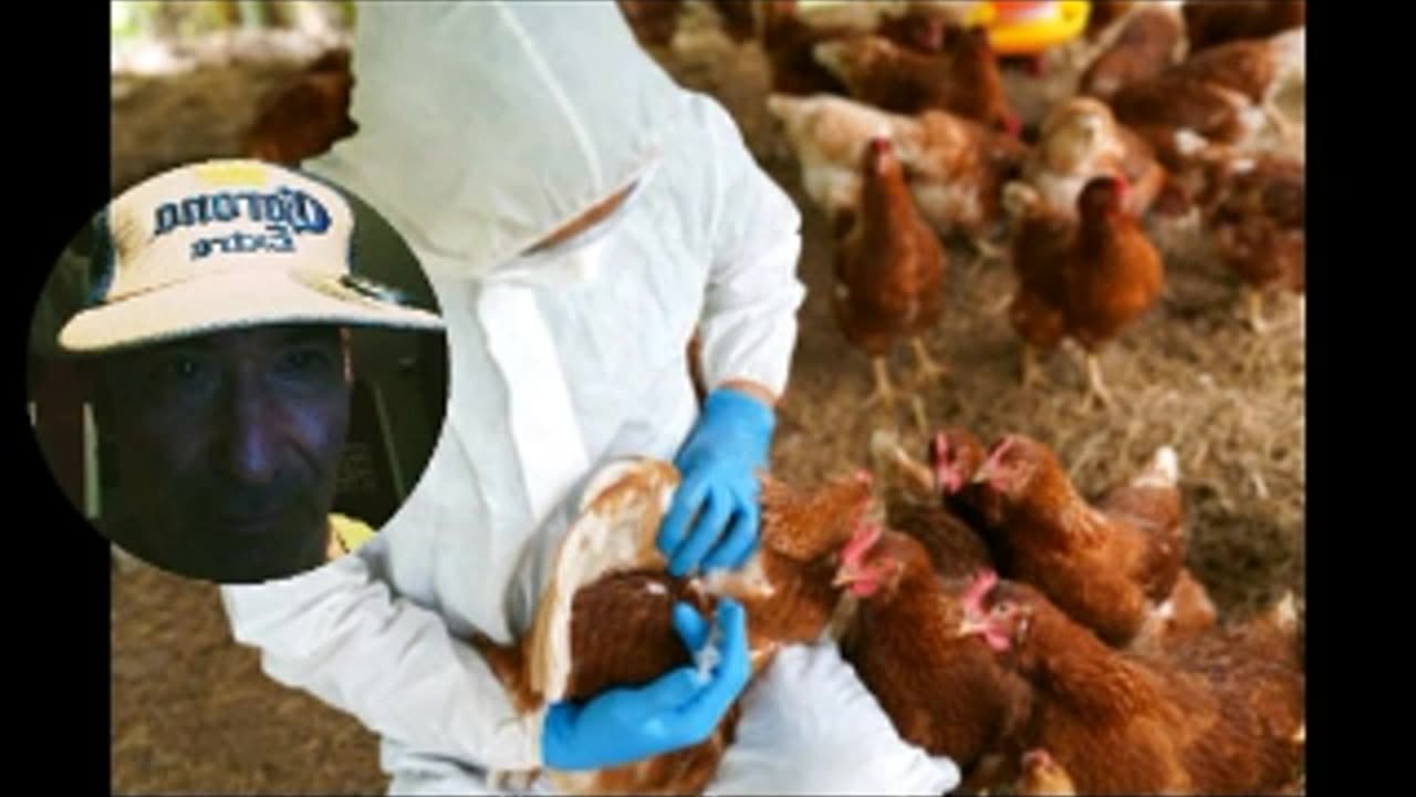 BIRD FLU EXPERT: WE'RE RUNNING OUT OF TIME, PANDEMIC LOOMING (RAP-STYLE)
