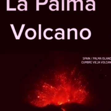 Tim Rifat TikTok Videos