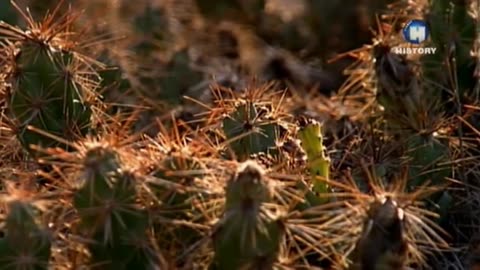 HISTORIA INDIAN 4 dokument pl