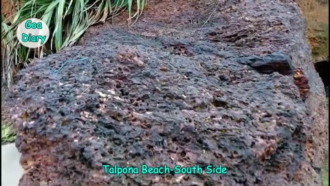Talpona Rocky Beach with Singhali Music- Mesmerizing Goa