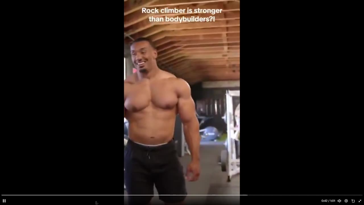 You never know - Bodybuilders left speechless at the strength of a rock climber