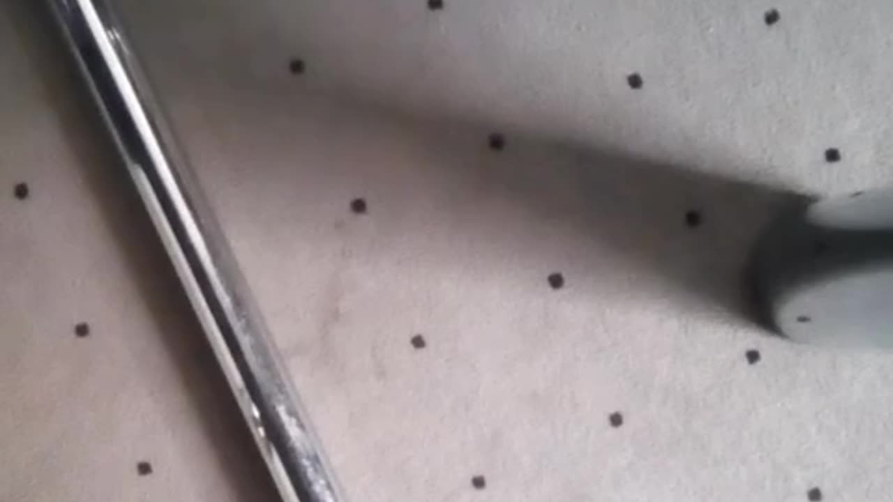 nazis tried to poison kill me in iceland consulate stuttgart