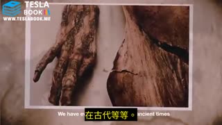 松果体被称为“内在之眼”
