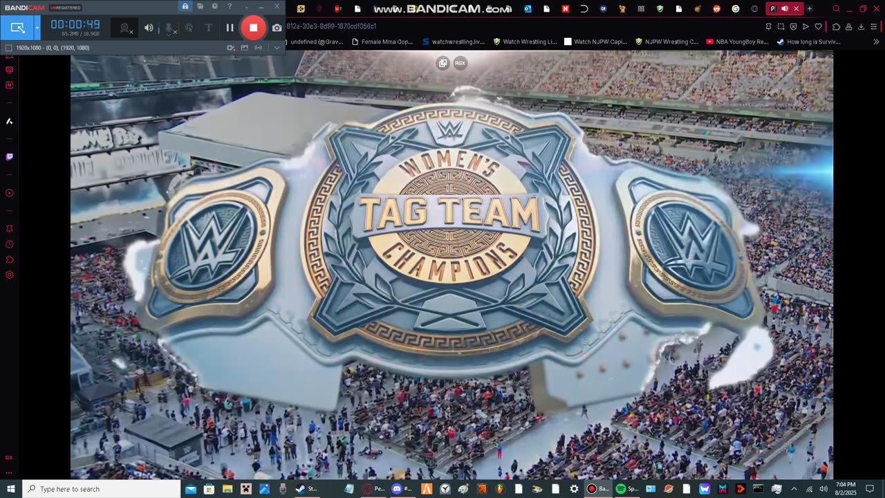 wwe summerslam 2025 part 12