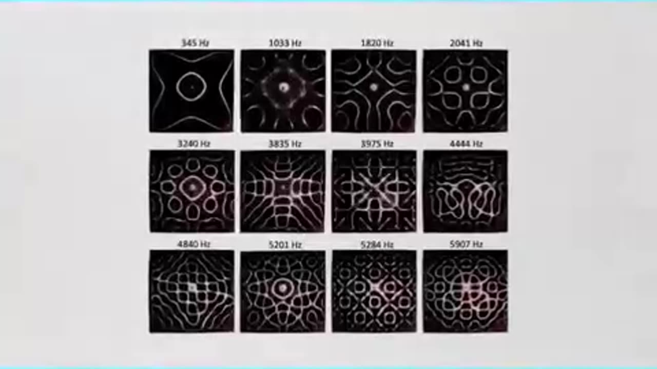 The Music DNA Connection