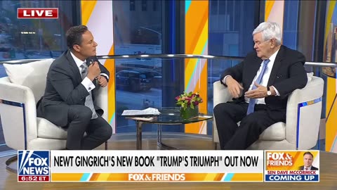 Newt Gingrich makes fun of Democrats' most recent Trump jab: This is