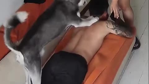 😂🐶 This Dog's Massage Face is TOO FUNNY! Massage Time | FunFM